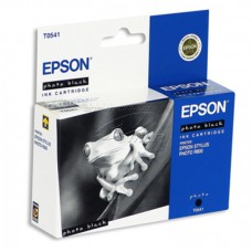  Epson T0541 bk